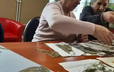 473599568_1287660645889100_9179467844218033102_n