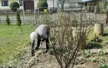 Wiosenne porządki w naszym ogr&oacute;dku! 3
