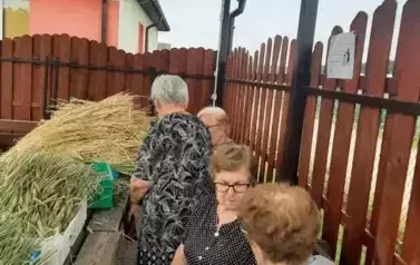 Tworzymy wieniec dożynkowy! 7
