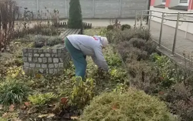 Jesień w pełni, a seniorzy w akcji! 2