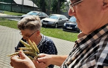 wieniec (11)