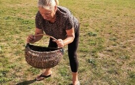 460963040_1211174453537720_1018080667250914304_n