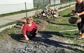 460990395_1211174373537728_590191127658898432_n