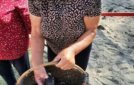 461276245_1211174223537743_611846983147292145_n