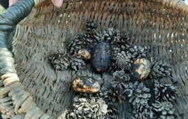 461069628_1211174170204415_9055950449734760410_n