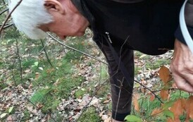 461786583_1216252196363279_9125164648354103155_n