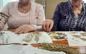 473633368_1287660559222442_8710162098437753536_n