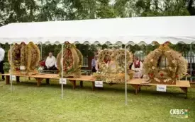 Wieniec dożynkowy 4