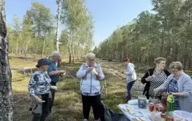 Seniorzy na  grzybobraniu 1