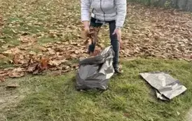 Jesień w pełni, a seniorzy w akcji! 11