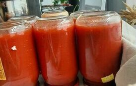 380350306_1000419781279856_8408174431657400499_n