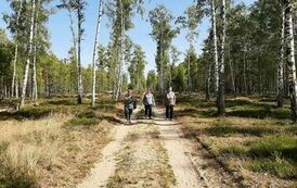 380230381_1002124507776050_7482766440386459006_n