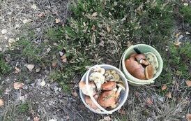 382740920_1002123431109491_972076756057167589_n