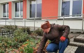 393818650_1028881035100397_4132240850881149173_