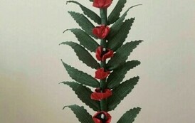 430128497_1093825158605984_6072677857217522318_n