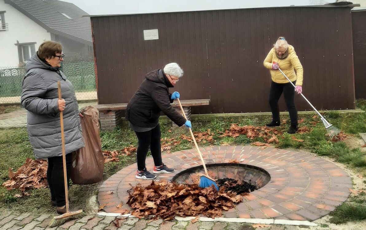 Zdjęcie do Jesienne porządki